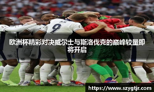 欧洲杯精彩对决威尔士与斯洛伐克的巅峰较量即将开启